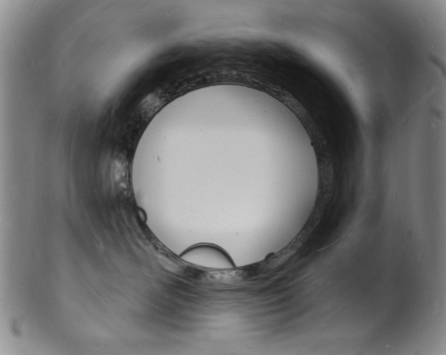 X0000101690526200807101211