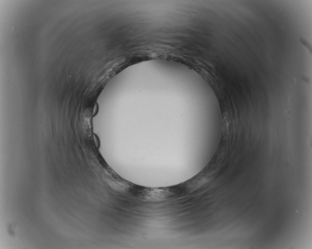 X0000101690527200807101211