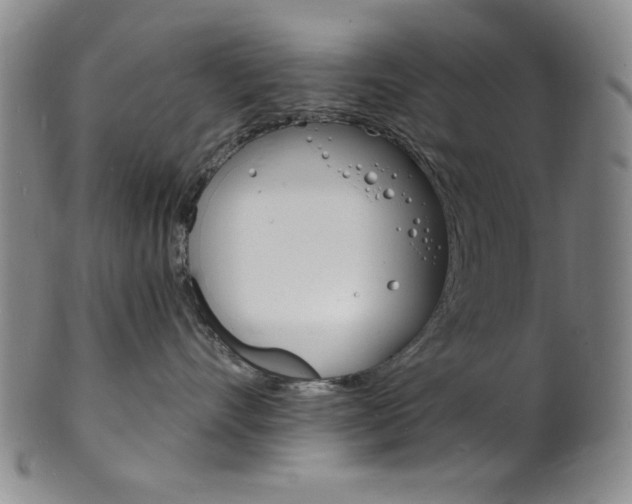 X0000101690528200807101211