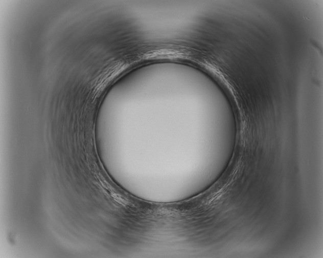 X0000101690529200807101210