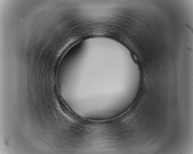 X0000101690530200807101210