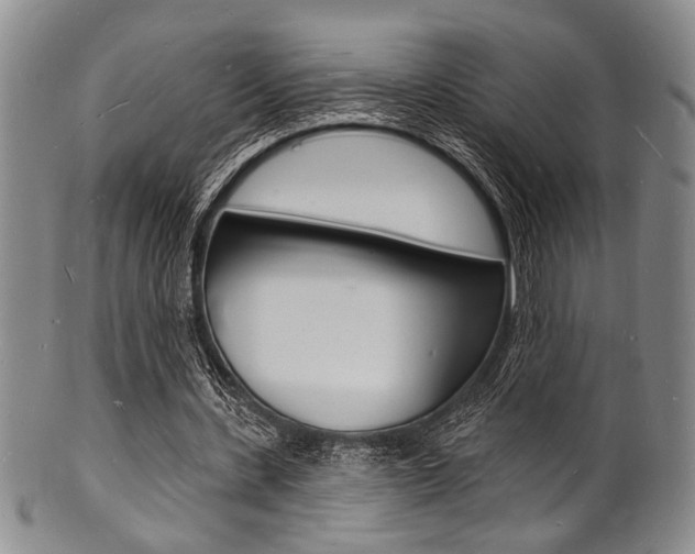 X0000101690531200807101210