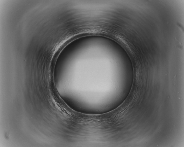 X0000101690532200807101210