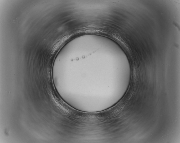 X0000101690533200807101210