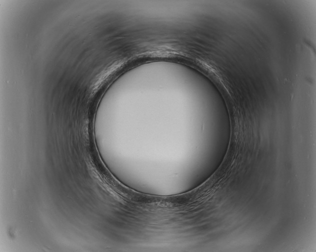 X0000101690535200807101210