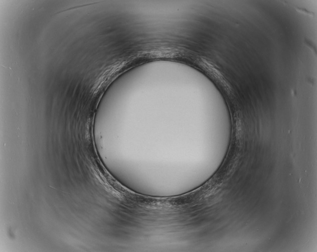 X0000101690537200807101210