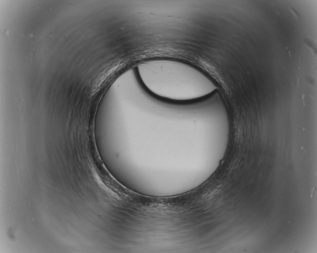 X0000101690538200807101210