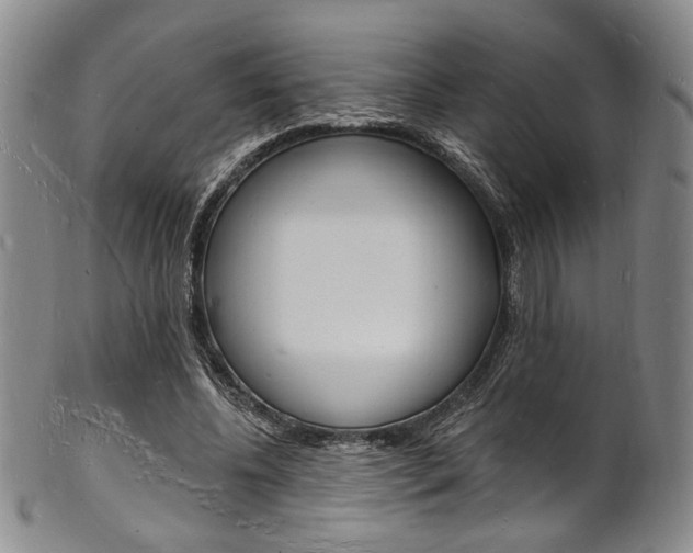X0000101690540200807101210