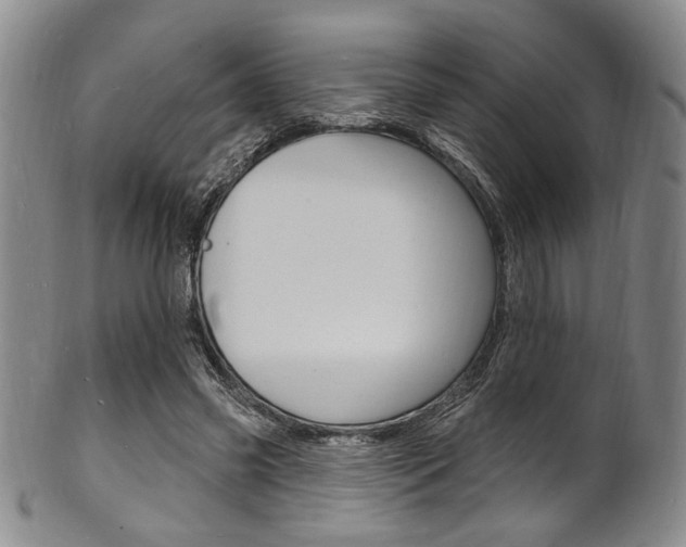 X0000101690541200807101210