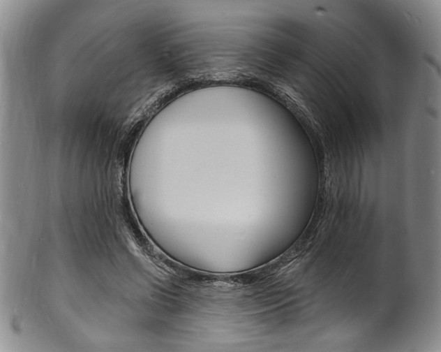 X0000101690542200807101210