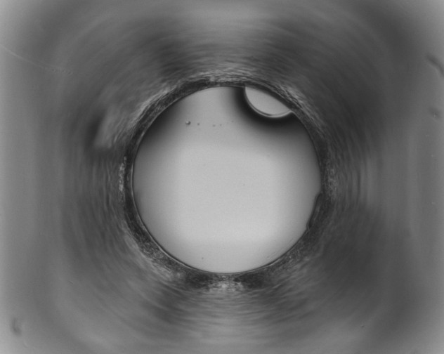X0000101690543200807101210
