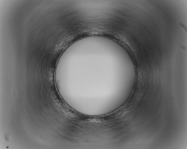 X0000101690545200807101210
