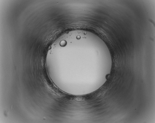 X0000101690546200807101210