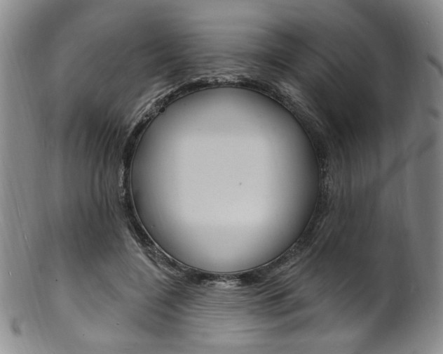 X0000101690548200807101210