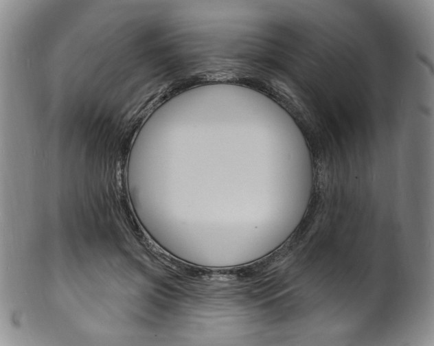 X0000101690549200807101210