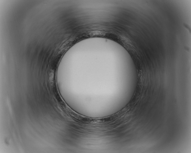 X0000101690550200807101210