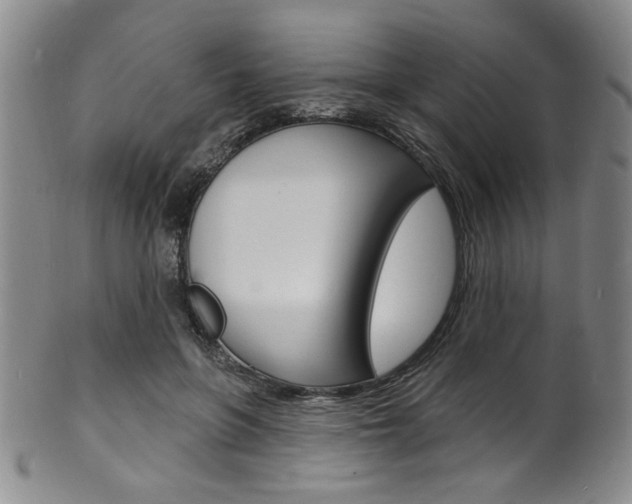 X0000101690551200807101210
