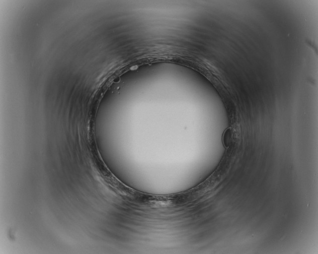 X0000101690552200807101210