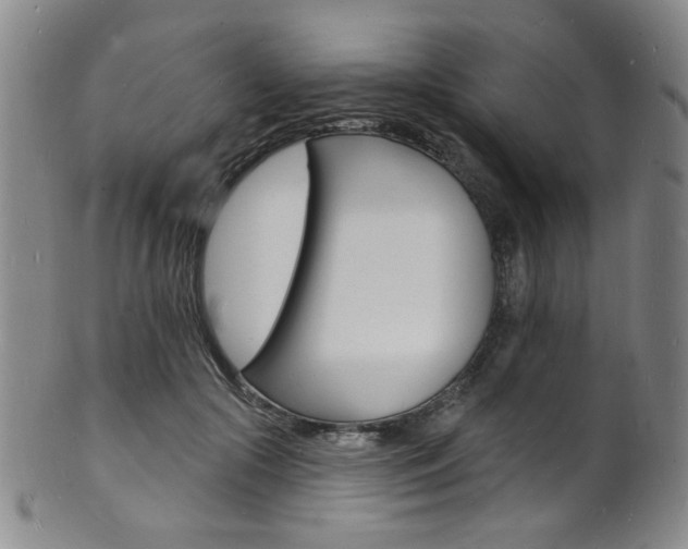 X0000101690553200807101210