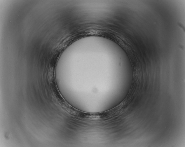 X0000101690554200807101210