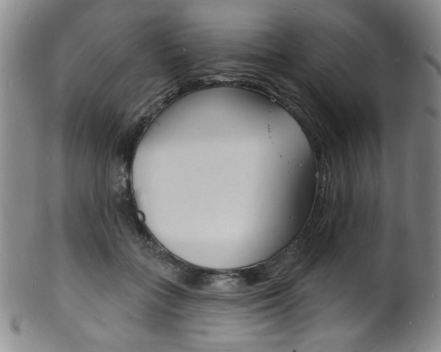 X0000101690555200807101210