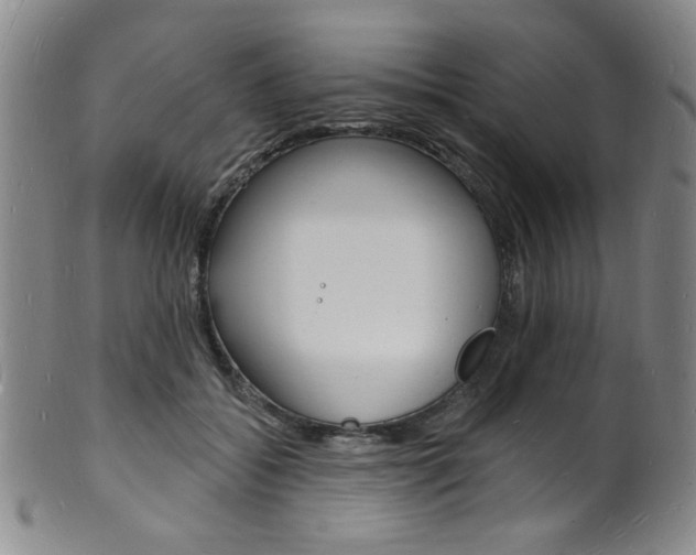 X0000101690556200807101210
