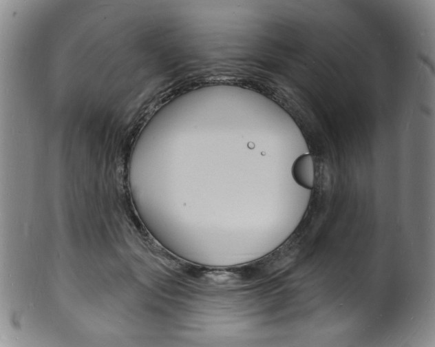 X0000101690557200807101210