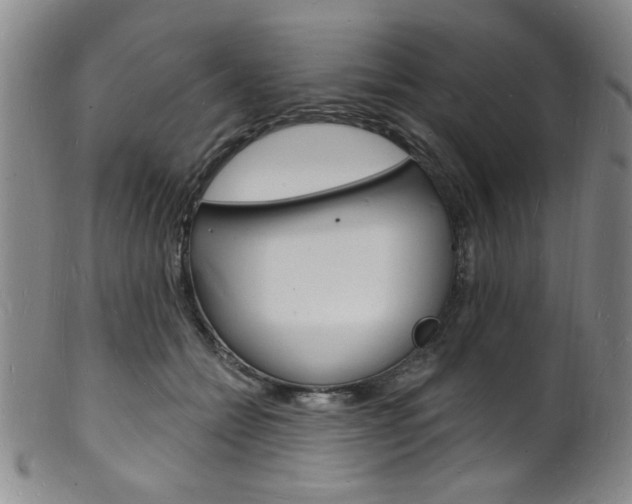 X0000101690558200807101211