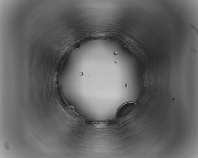 X0000101690560200807101211