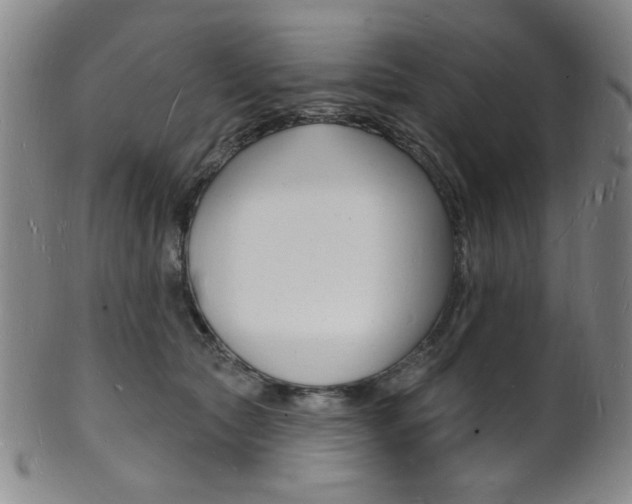 X0000101690561200807101211