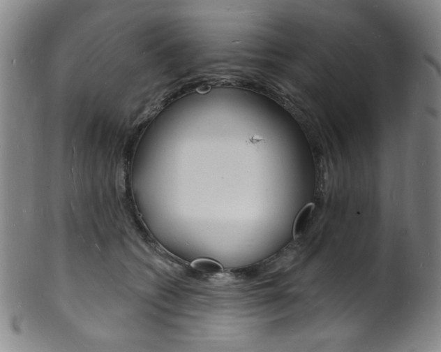 X0000101690562200807101211