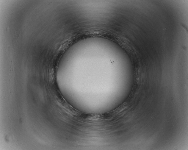 X0000101690563200807101211