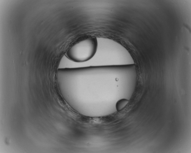 X0000101690565200807101211