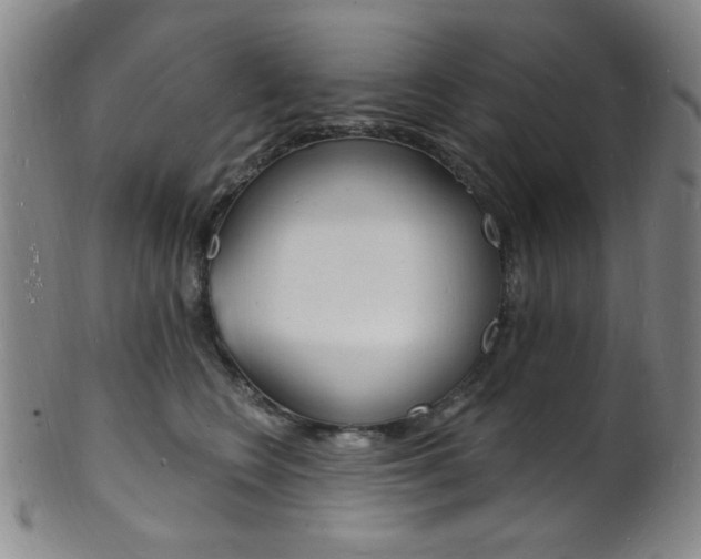 X0000101690566200807101211
