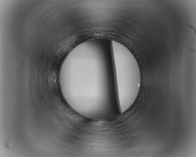 X0000101690567200807101211