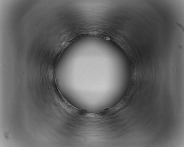 X0000101690568200807101211