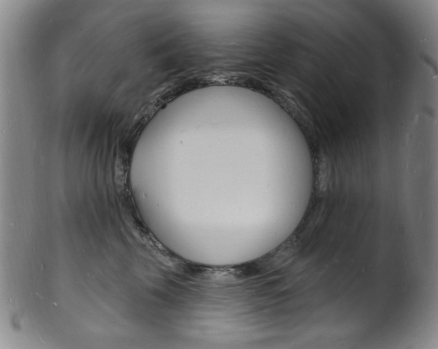 X0000101690569200807101211