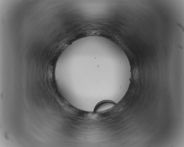 X0000101690570200807101211