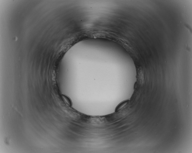 X0000101690571200807101211