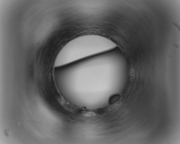 X0000101690572200807101211