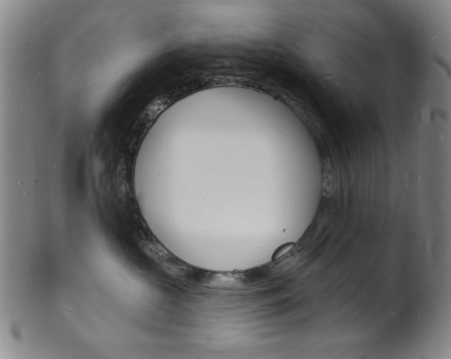X0000101690573200807101211