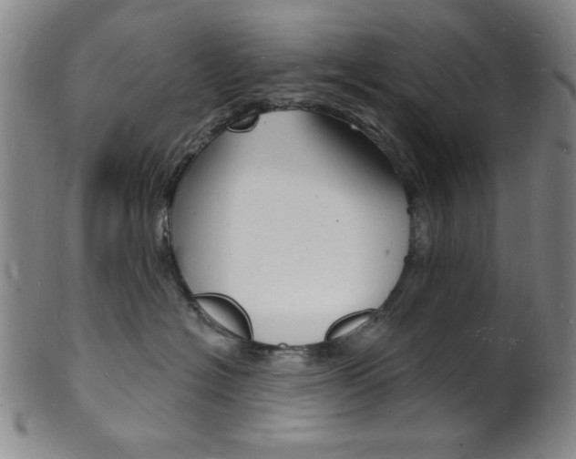 X0000101690574200807101211