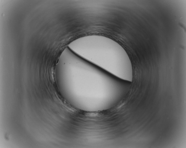 X0000101690575200807101211