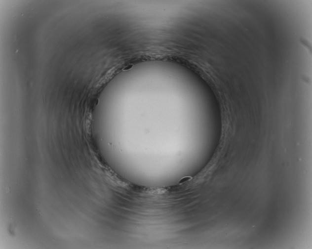 X0000101690576200807101211