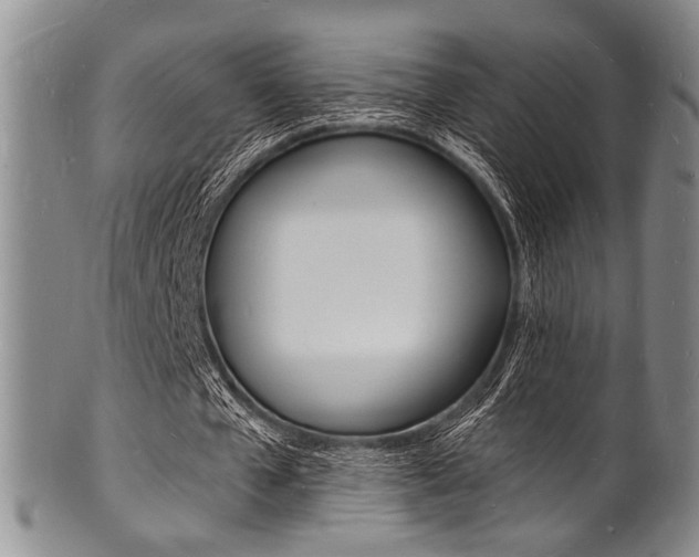 X0000101690577200807101210