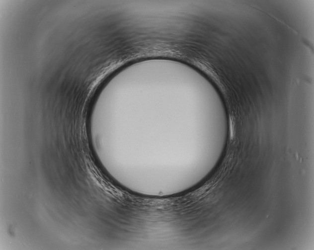 X0000101690579200807101210