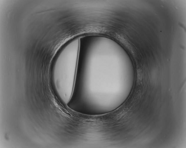 X0000101690580200807101210