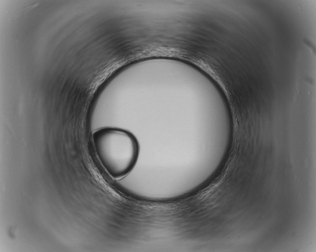 X0000101690581200807101210