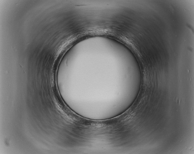X0000101690582200807101210
