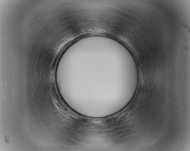 X0000101690583200807101210